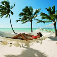 Отзыв от Амина - DTV виза